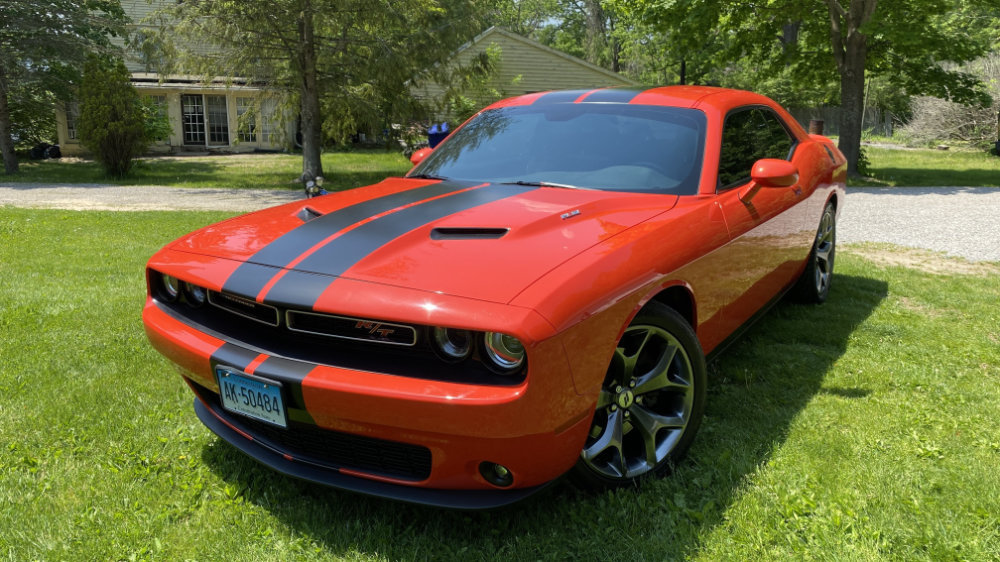 Signs and vehicle wraps gallery image