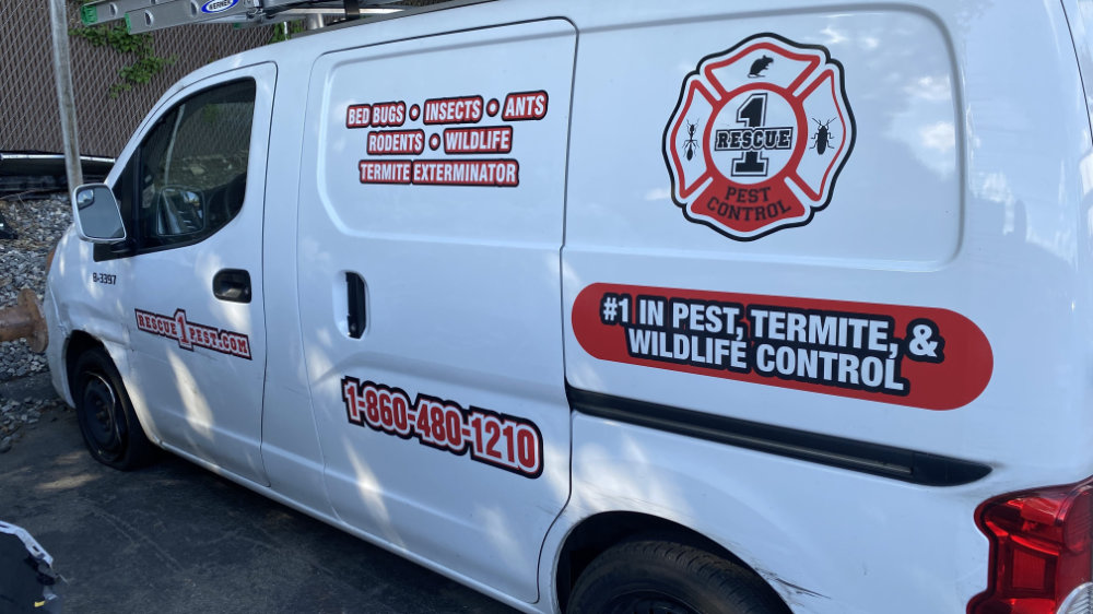 Signs and vehicle wraps gallery image