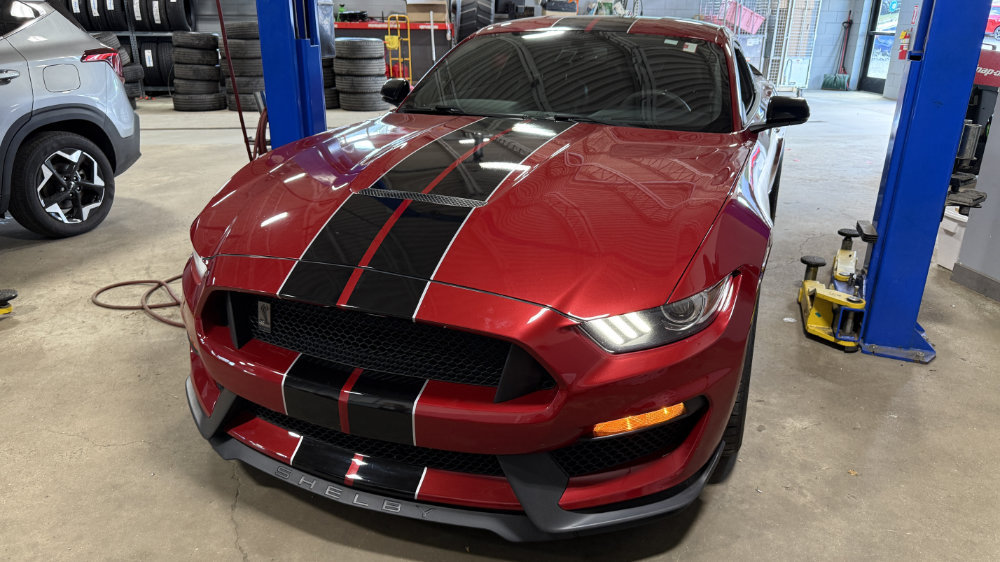 Signs and vehicle wraps gallery image